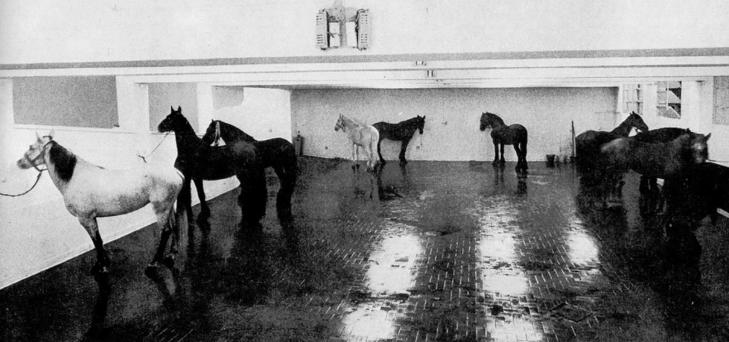 Jannis Kounellis – “12 Cavalli Vivi”