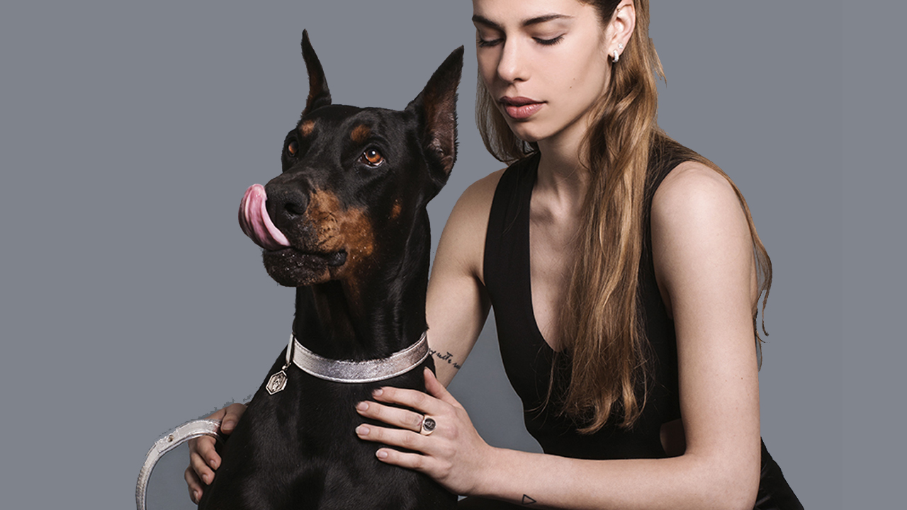 Doge, Dog Empathy – Lusso italiano