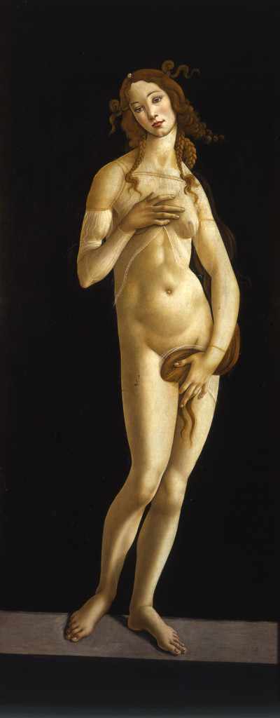 Venere Pudica - Sandro Botticelli | Ovidio. Amori, miti e altre storie